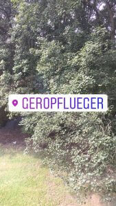 Instagram-Geofilter für meinen Facebook-Ort, nämlich das Büro im Stadtteil List